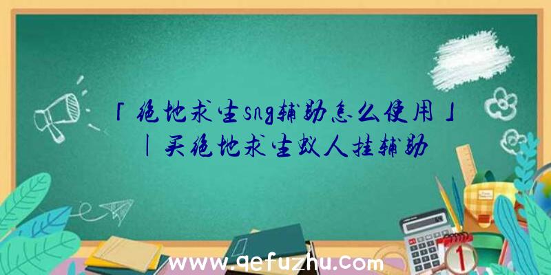 「绝地求生sng辅助怎么使用」|买绝地求生蚁人挂辅助